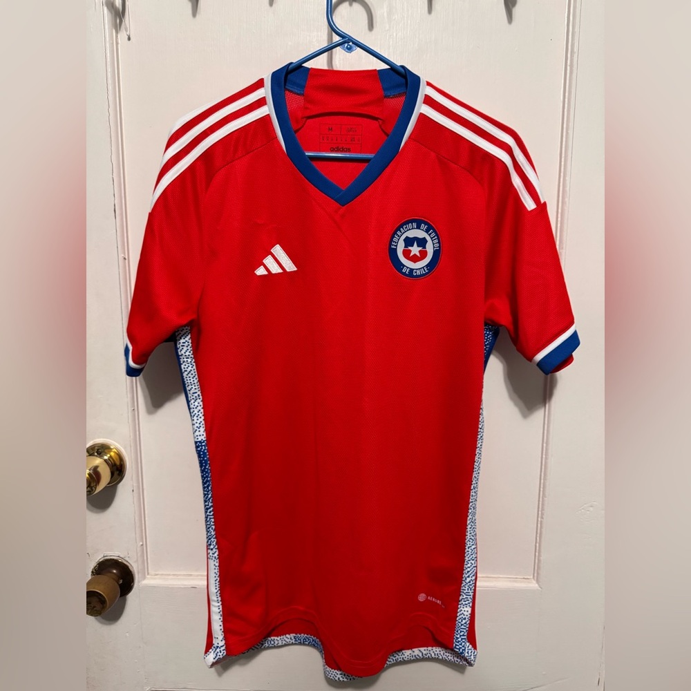 Chile world cup fan version